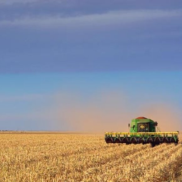 Meet your Posher, Tawny K - Picture 7 of 10